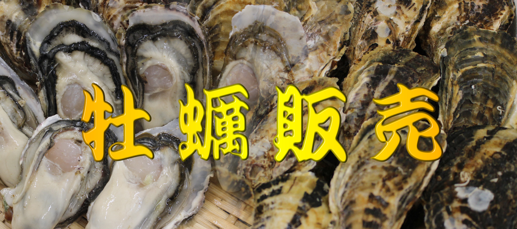 牡蠣販売 むき身 岩本和敏水産 相生の新鮮な牡蠣を明るく元気にお届けします